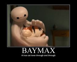  baymax Von leahk90 d8o60il