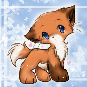  cute 狐狸