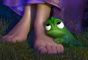  Walt ডিজনি Screencaps - Princess Rapunzel & Pascal
