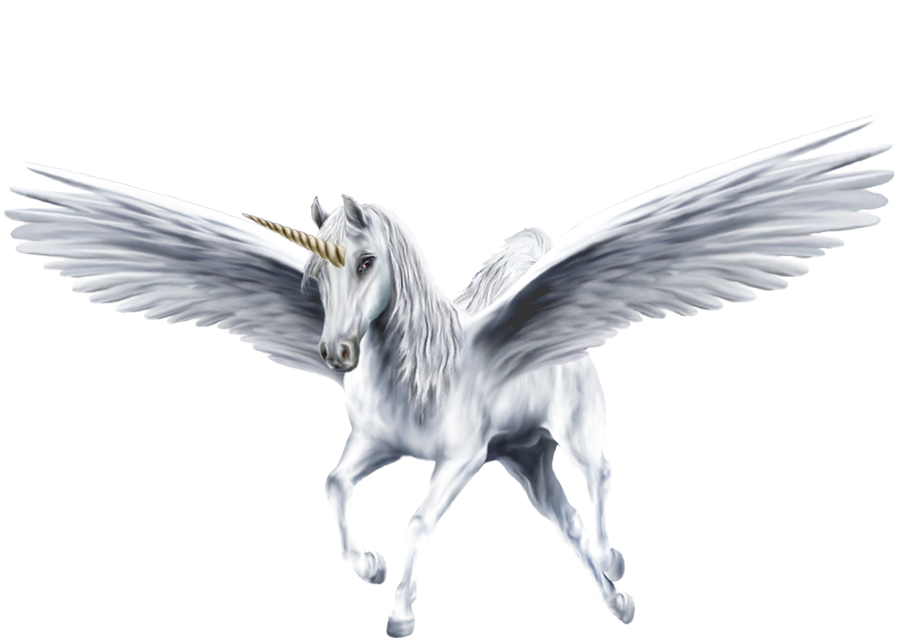 An Beautiful White Winged Unicorn - Unicorns Fan Art (39364232) - Fanpop