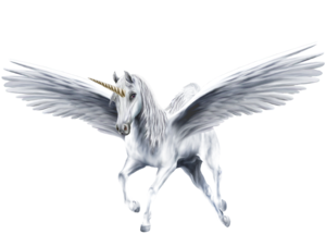  An Beautiful White Winged Unicorn