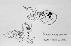  Blackfeathers guarding young princess Luna