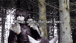  Bran Stark 标签