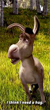 Donkey gifs