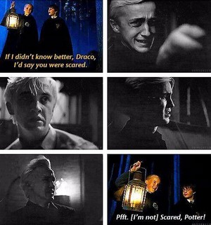  Draco And The Sorting Hat