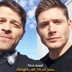  Jensen/Misha Livestream