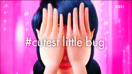  Marinette/Ladybug