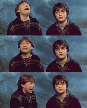  Overreactions Since Hogwarts