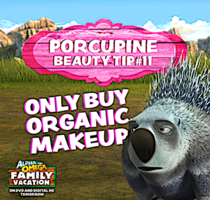  Porcupine Beauty Tip #11 Only Buy Organic Makeup