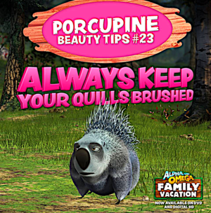  Porcupine Beauty Tips # 23 Always Keep Your Quills Brushed