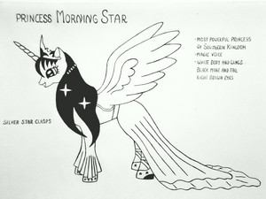  Princess Morning star, sterne