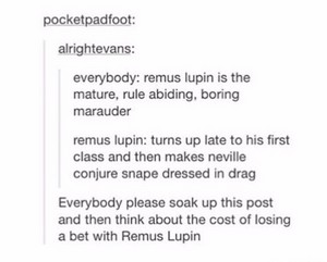  Remus Lupin Everyone