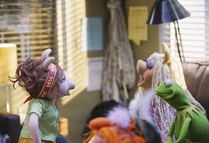  The Muppets - New Episode "Swine Song"