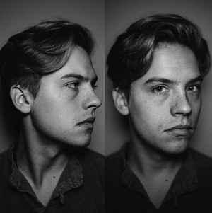  The Sprouse Brothers
