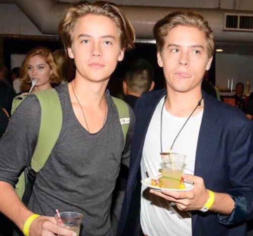 The Sprouse Brothers