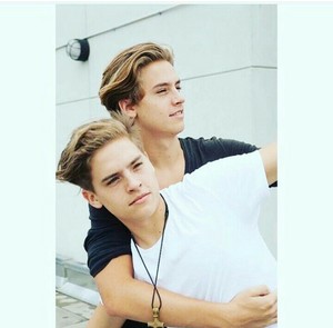 Les Sprouse Bros