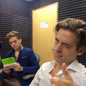 Les Sprouse Bros