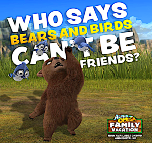 Who Says Birds And Bears Can't Be Friends ?