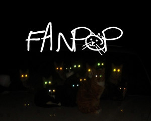  fanpop12