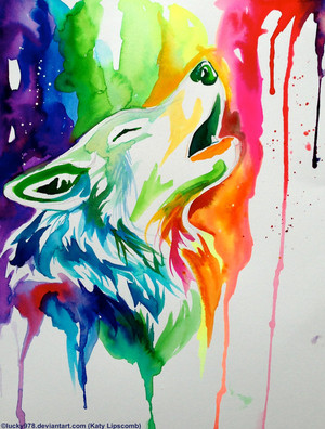  pelangi, rainbow serigala, wolf