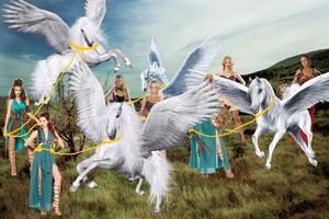  A Sexy Warrior Princess and the other Amazons tames a Beautiful Herd of Wild Pegasus