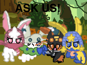  ASK us Cover