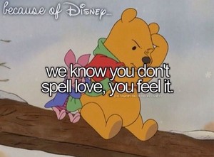  Because of Disney....