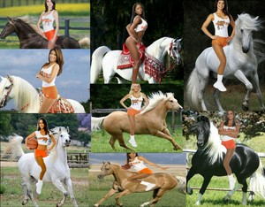Cute Girls from Hooters riding on Beautiful Horses