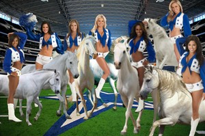 Dallas Cowboys Cheerleaders perform on the backs of their Beautiful White Steeds