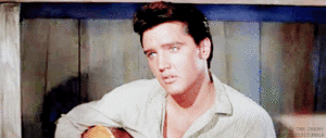  Elvis Presley ❤