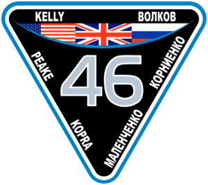  Expedition 46 Mission Patch