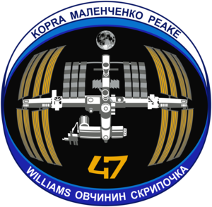  Expedition 47 Mission Patch