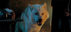  Ghost in a new Game of Thrones clip of season 6