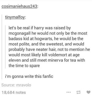  Harry Potter Tumblr Posts