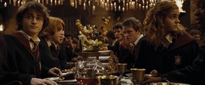  Harry Potter and the Goblet of api, kebakaran