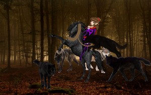  Moonshade and her भेड़िया had tamed an Beautiful Wild Black Horse