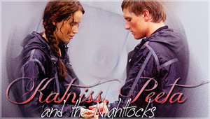  Peeta/Katniss Banner - Nightlock