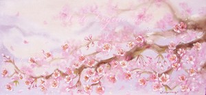  merah jambu blossoms