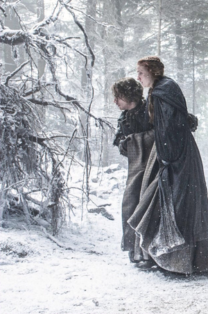 Sansa Stark and Theon Greyjoy- Season 6