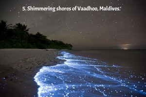 Shimmering shores of vaadhoo, Maldives