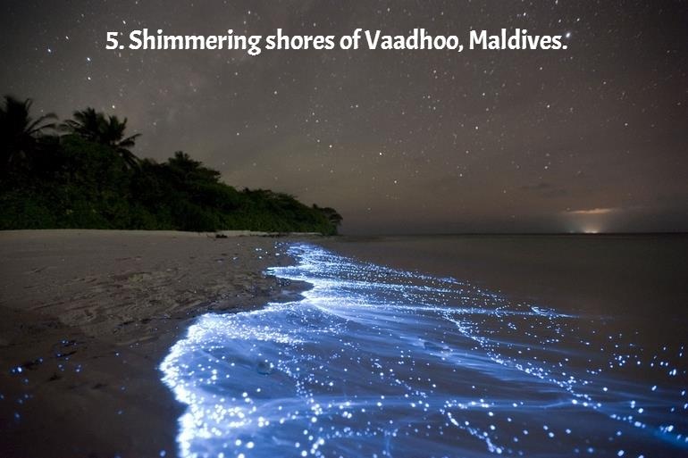  Shimmering shores of vaadhoo, Maldives