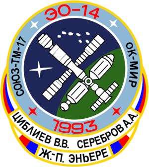  Soyuz TM 17 Mission Patch