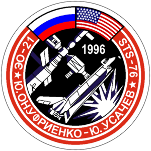 Soyuz TM 23 Mission Patch
