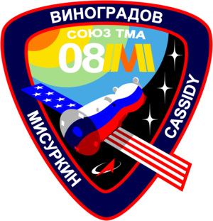 Soyuz TMA 8M Mission Patch