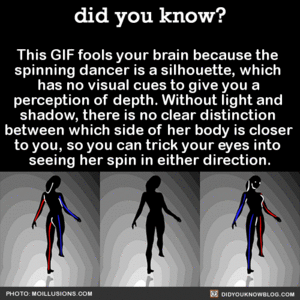  The Science Behind the Dancer Illusion