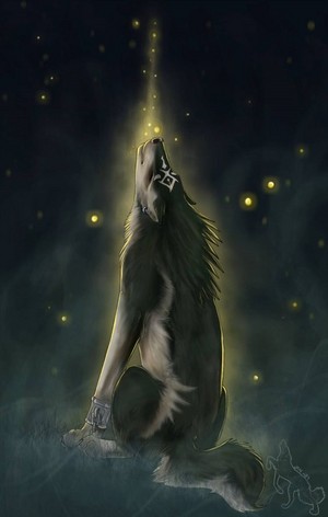  serigala, wolf Link