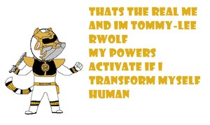  power rangers tommy lee