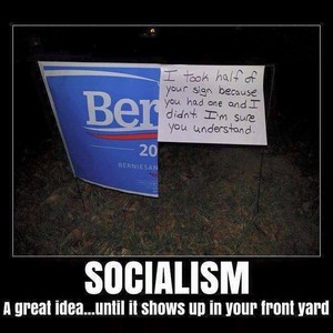 Comrade Sanders: Socialism