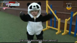  Cute panda Daebak!