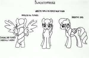  Blackfeathers angles